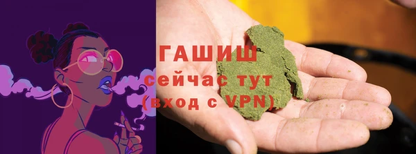 apvp Гусев