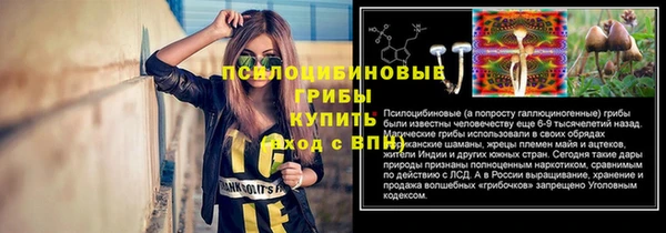 a pvp Саяногорск